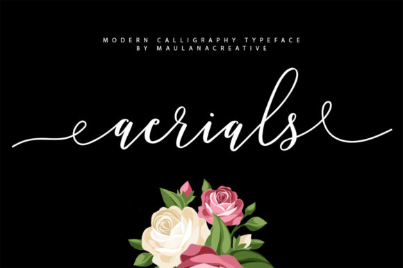 Aerials: A Script Font That Elevates Campaign Headlines