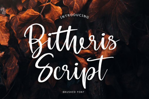Bitheris: A Brush-Handwritten Font for Thoughtful Typography