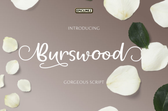 Burswood: A Handwritten Font That Elevates Your Brand