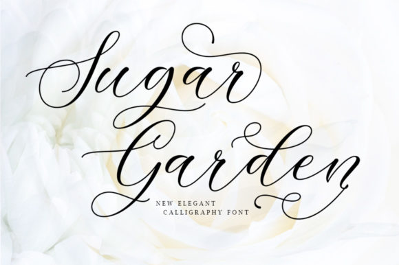 Sugar Garden: A Refined Script Font for Editorial Elegance